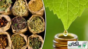 ثبت برند گیاهان دارویی