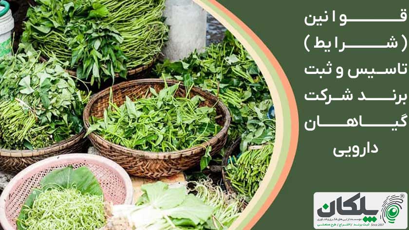 قوانین (شرایط) تاسیس و ثبت برند شرکت گیاهان دارویی